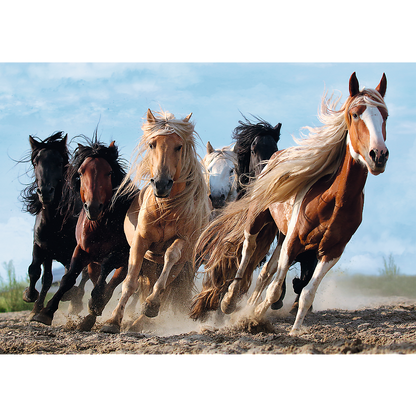 1000 Piece Jigsaw Puzzles, Galloping Horses, Wild Horse Puzzle, Animal Puzzle, Adult Puzzles, Trefl 10446