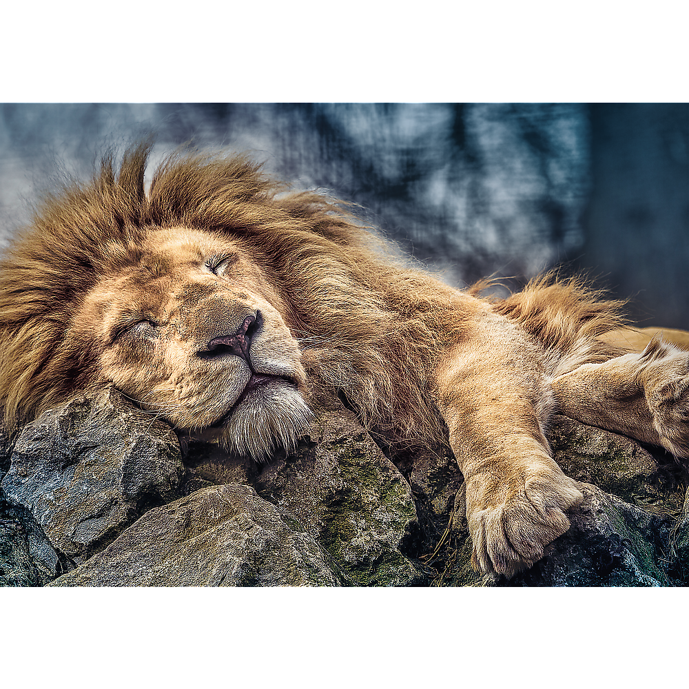 1000 Piece Jigsaw Puzzles, Sleeping Lion, Wild Animal Puzzle, Big Cats Puzzle, Adult Puzzles, Trefl 10447