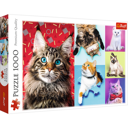 1000 Piece Jigsaw Puzzles, Happy Cats, Pets, Silly Animals, Cats and Kittens, Adult Puzzles, Trefl 10591