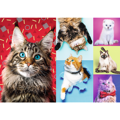 1000 Piece Jigsaw Puzzles, Happy Cats, Pets, Silly Animals, Cats and Kittens, Adult Puzzles, Trefl 10591