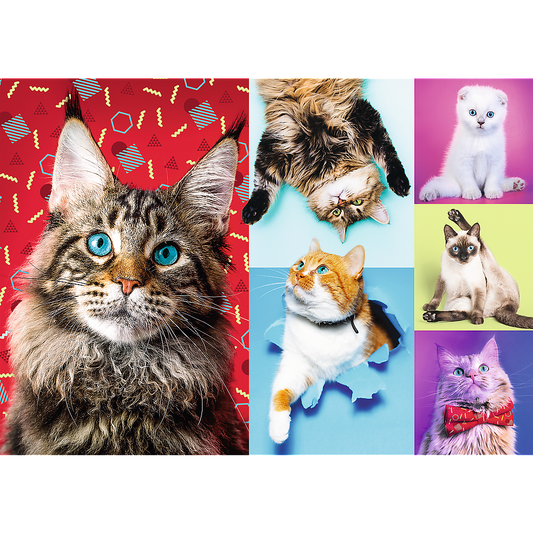 1000 Piece Jigsaw Puzzles, Happy Cats, Pets, Silly Animals, Cats and Kittens, Adult Puzzles, Trefl 10591