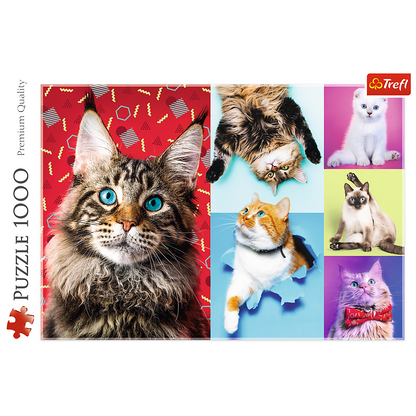 1000 Piece Jigsaw Puzzles, Happy Cats, Pets, Silly Animals, Cats and Kittens, Adult Puzzles, Trefl 10591