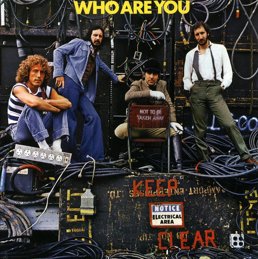 The Who - Who Are You (180g)