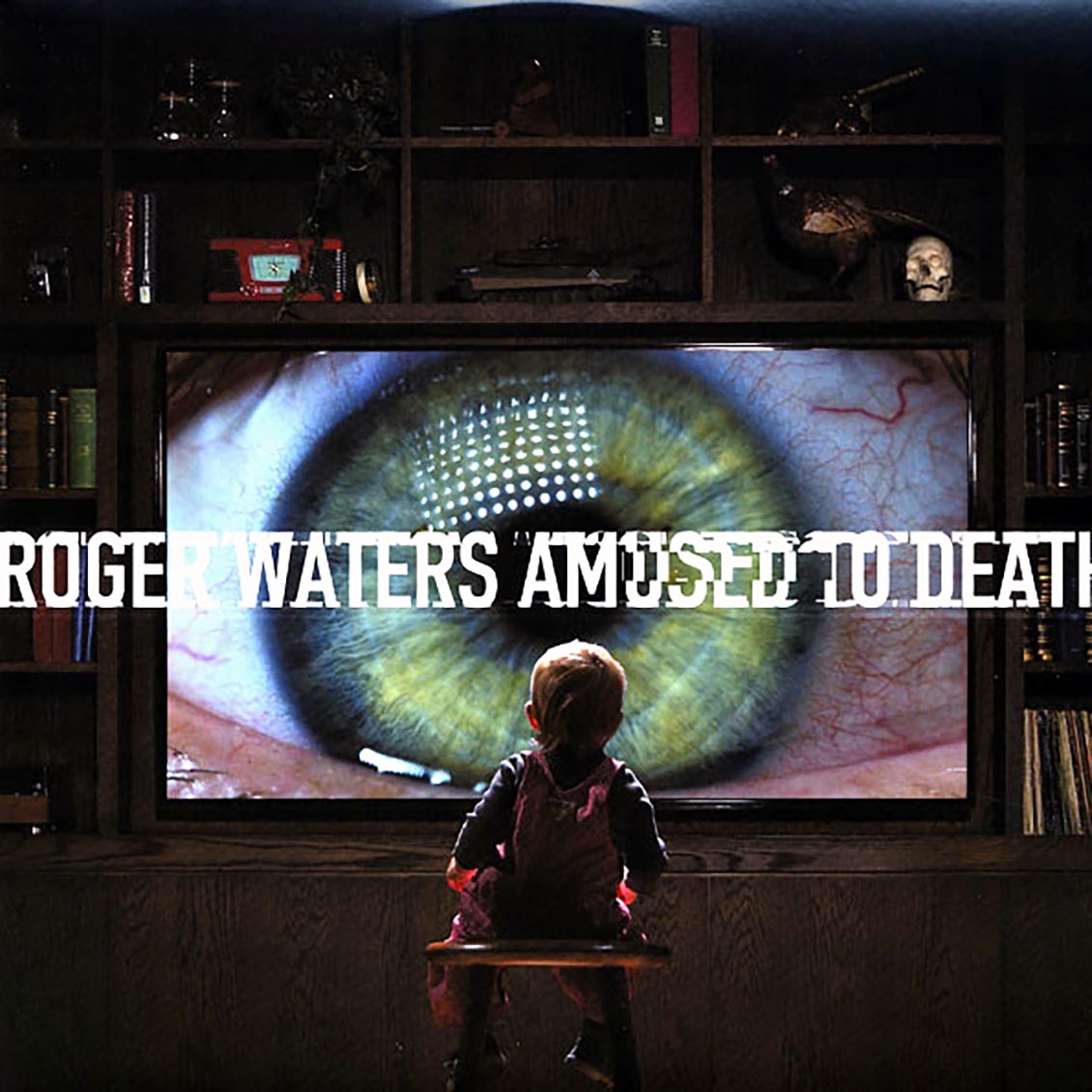 Roger Waters - Amused To Death