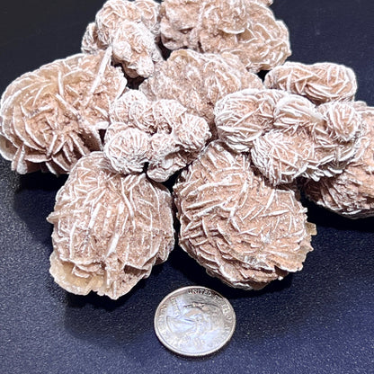 Desert Rose Selenite Crystals Rough (1 LB) One Pound Bulk Wholesale Lot Raw Gemstones