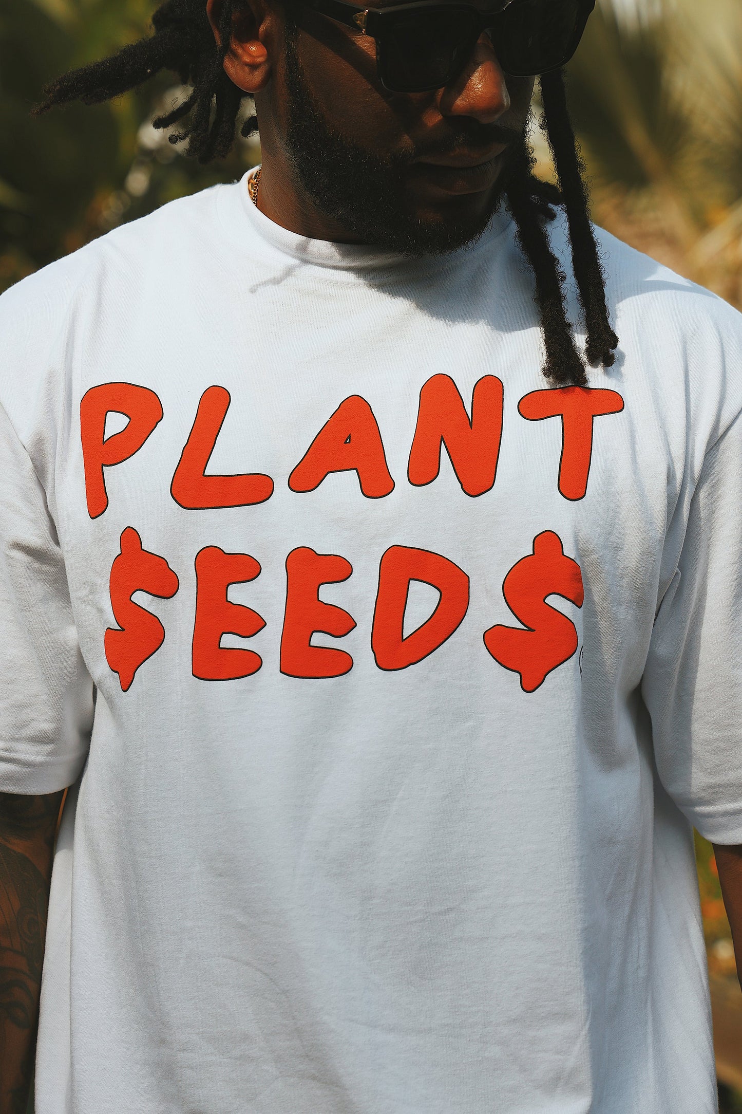 Plant Seeds