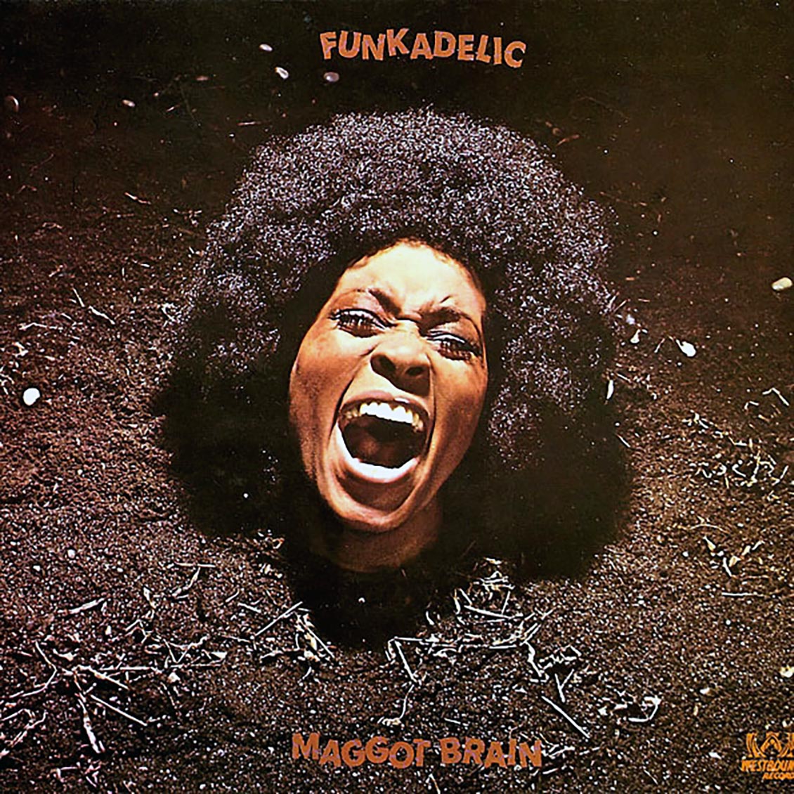 Funkadelic - Maggot Brain