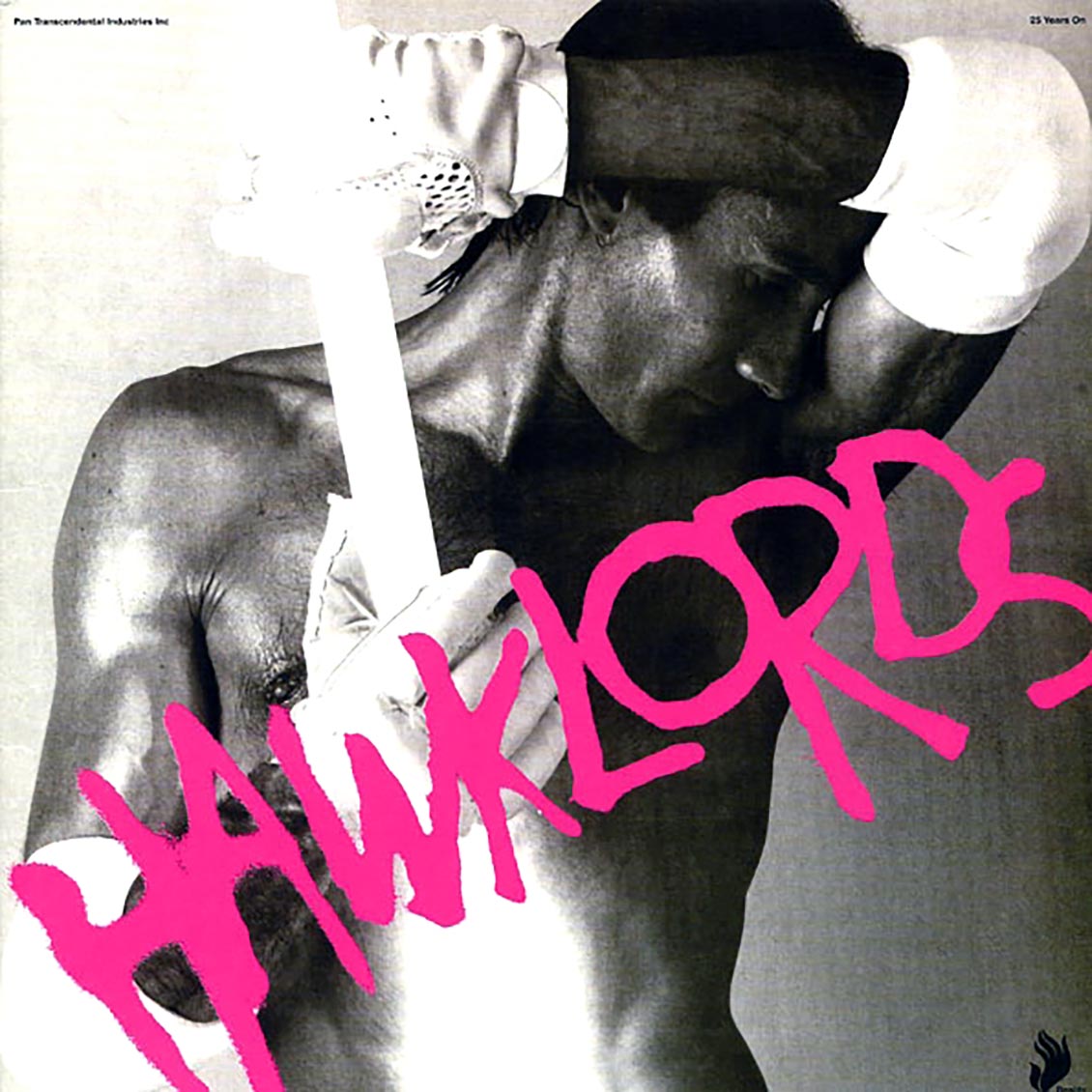 Hawklords - 25 Years On (RSD 2015) (2xLP) (180g) (colored vinyl)