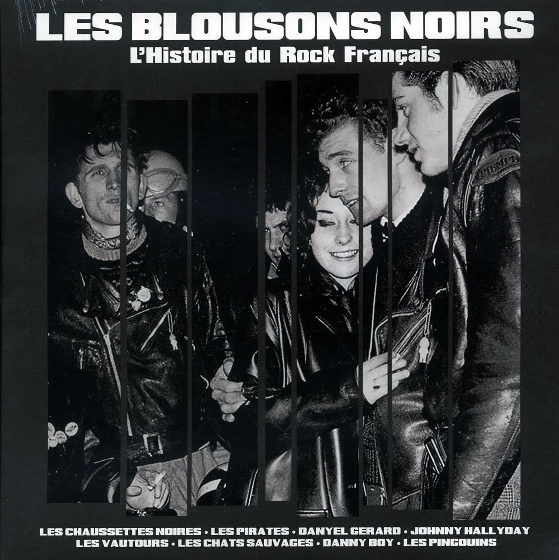 Various - Les Blousons Noirs: L'Histoire Du Rock Francias (180g)