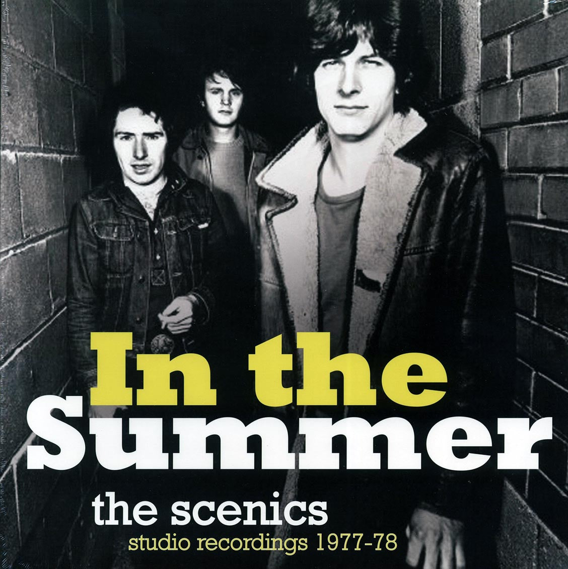 The Scenics - In The Summer: Studio Recordings 1977-78 (incl. mp3)