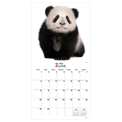 2025 Baby Animals Wall Calendar