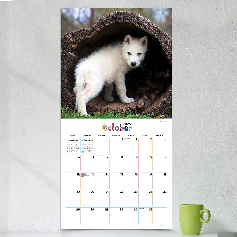 2025 Baby Animals Wall Calendar