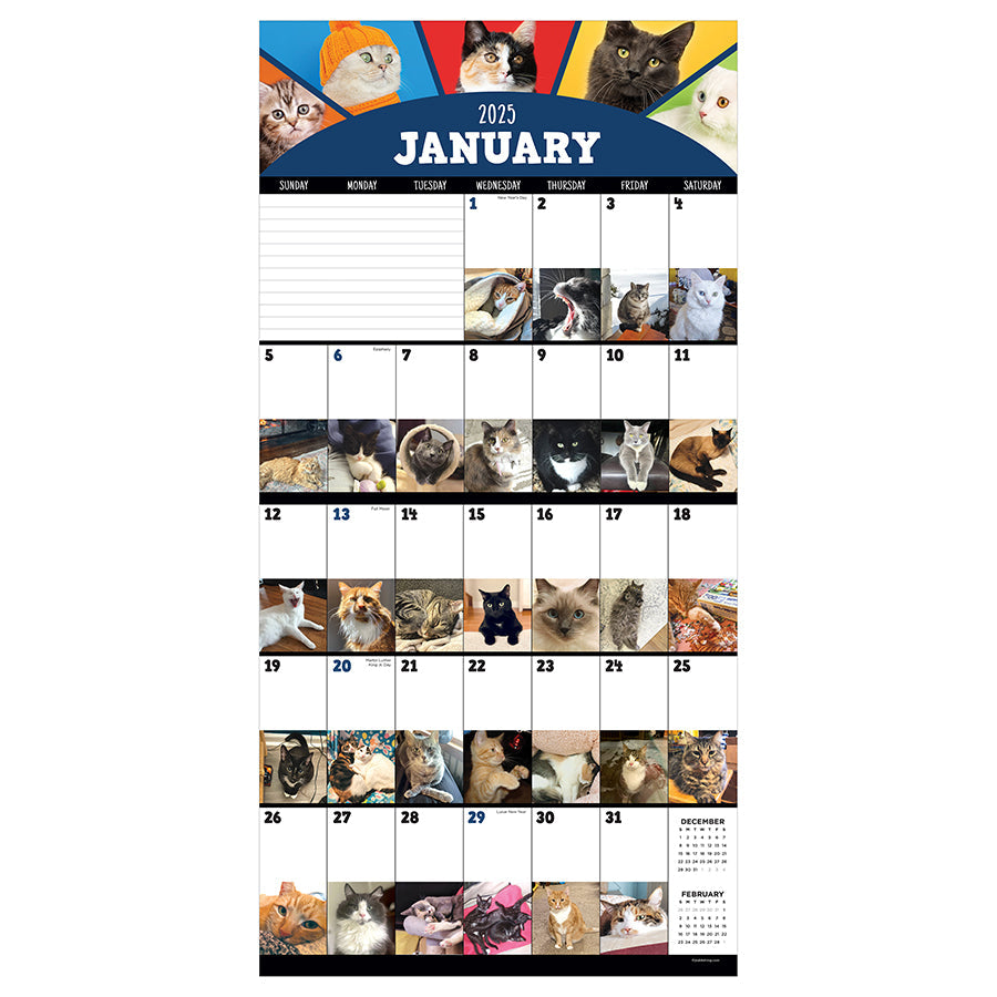 2025 Cat-A-Day Wall Calendar