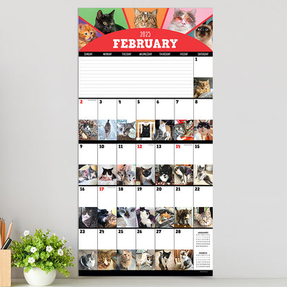 2025 Cat-A-Day Wall Calendar