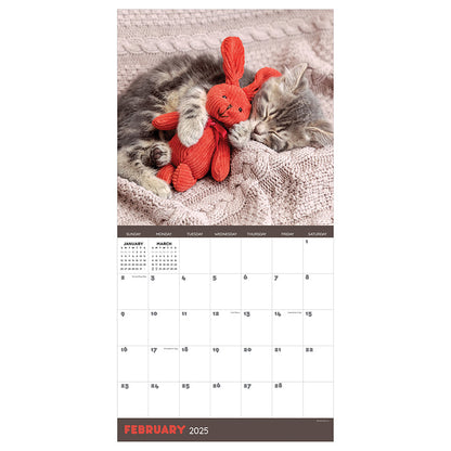 2025 Cat Dreams Wall Calendar