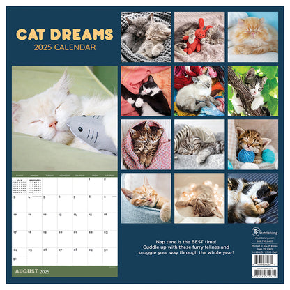 2025 Cat Dreams Wall Calendar