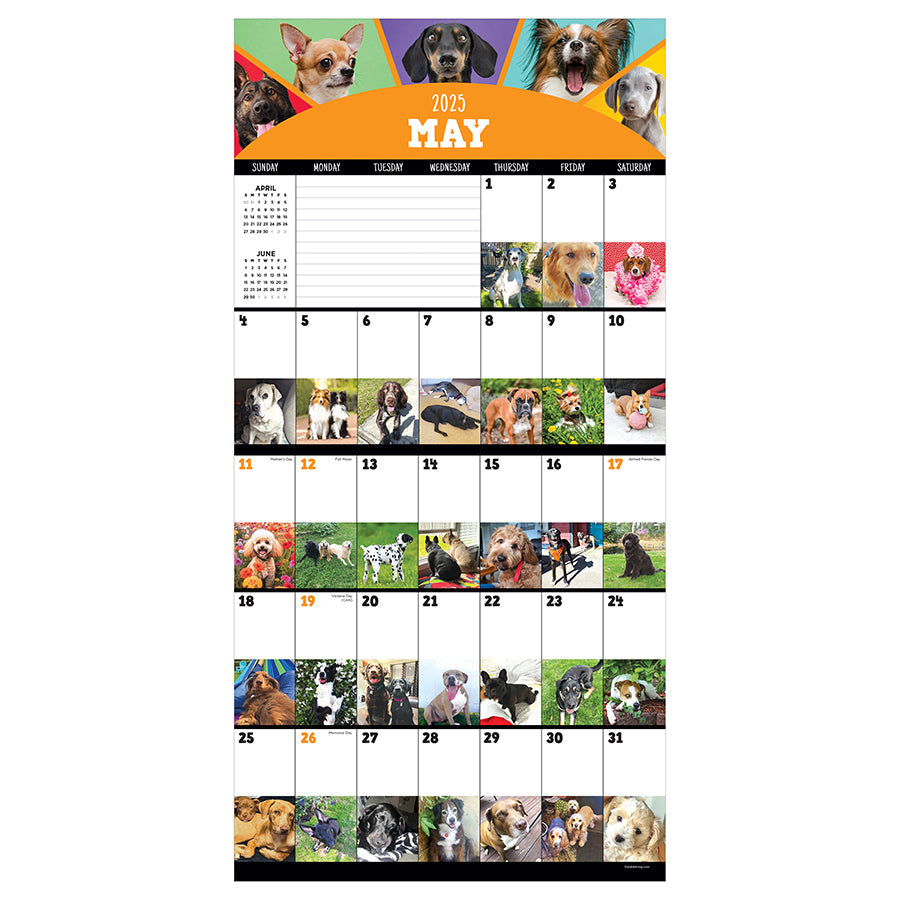 2025 Dog-A-Day Wall Calendar