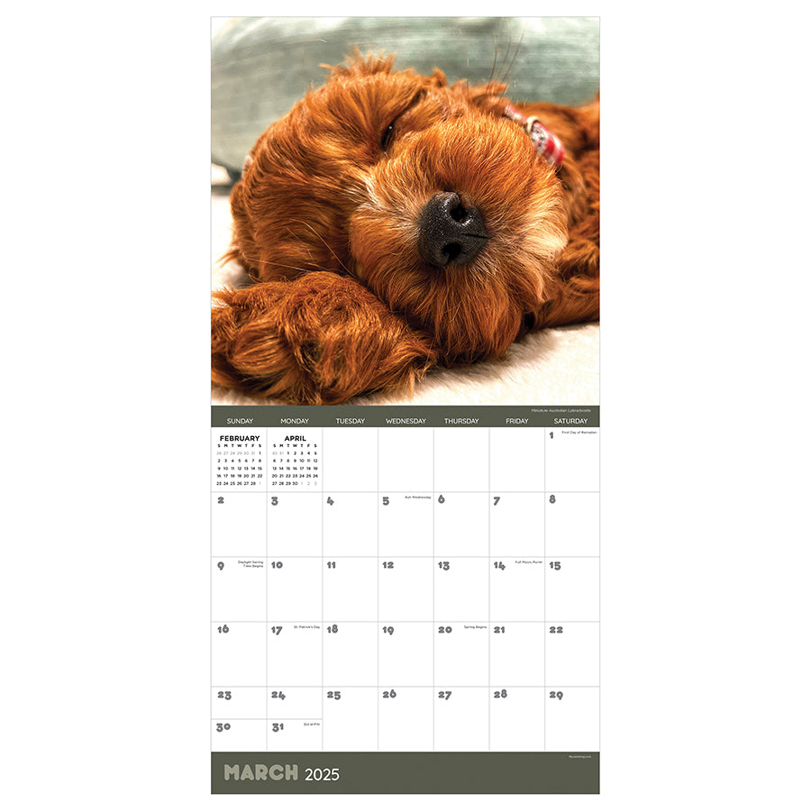 2025 Dog Dreams Wall Calendar