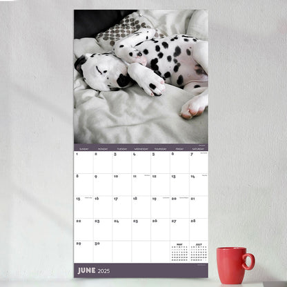 2025 Dog Dreams Wall Calendar