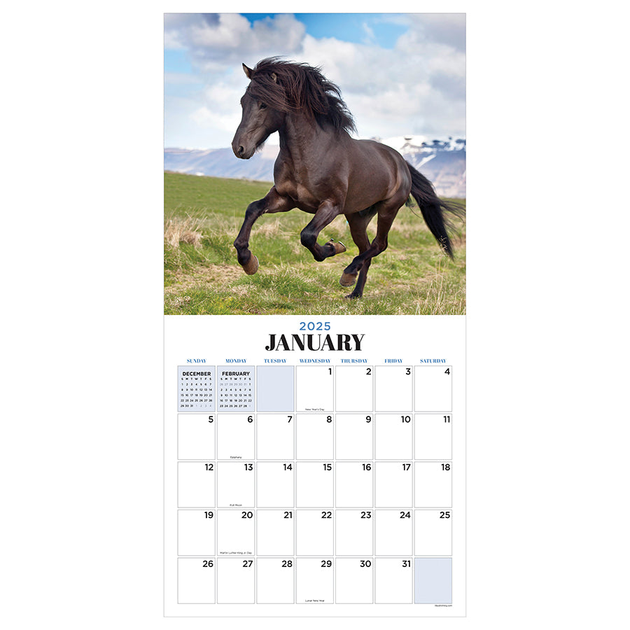 2025 Horses Wall Calendar