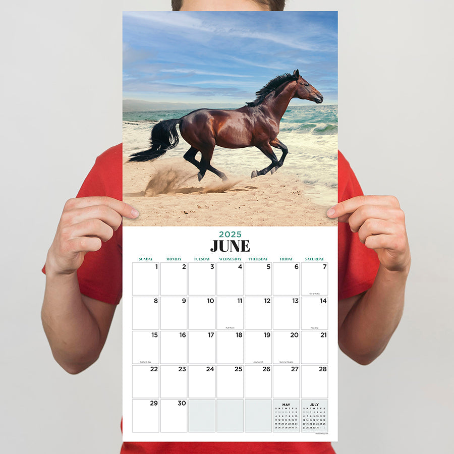 2025 Horses Wall Calendar