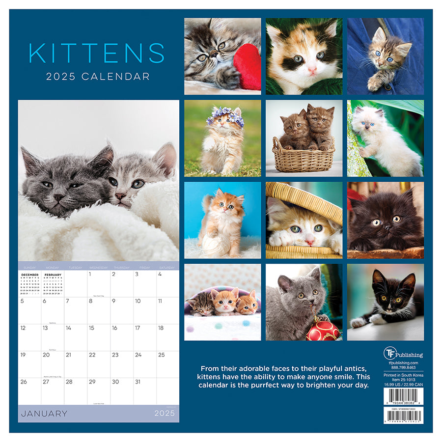 2025 Kittens Wall Calendar