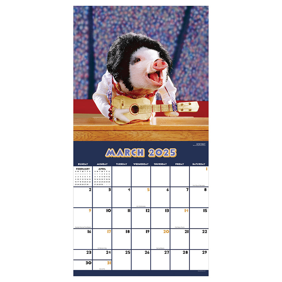 2025 Playful Pigs Wall Calendar