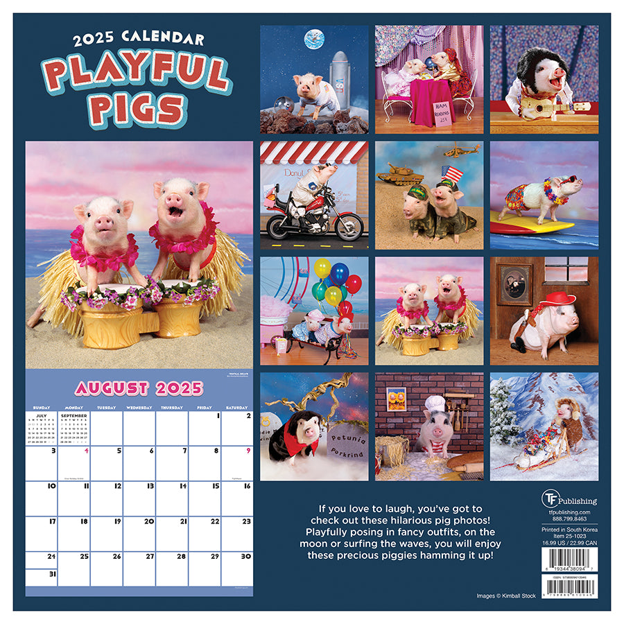 2025 Playful Pigs Wall Calendar