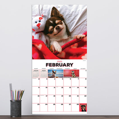 2025 Puppies Wall Calendar