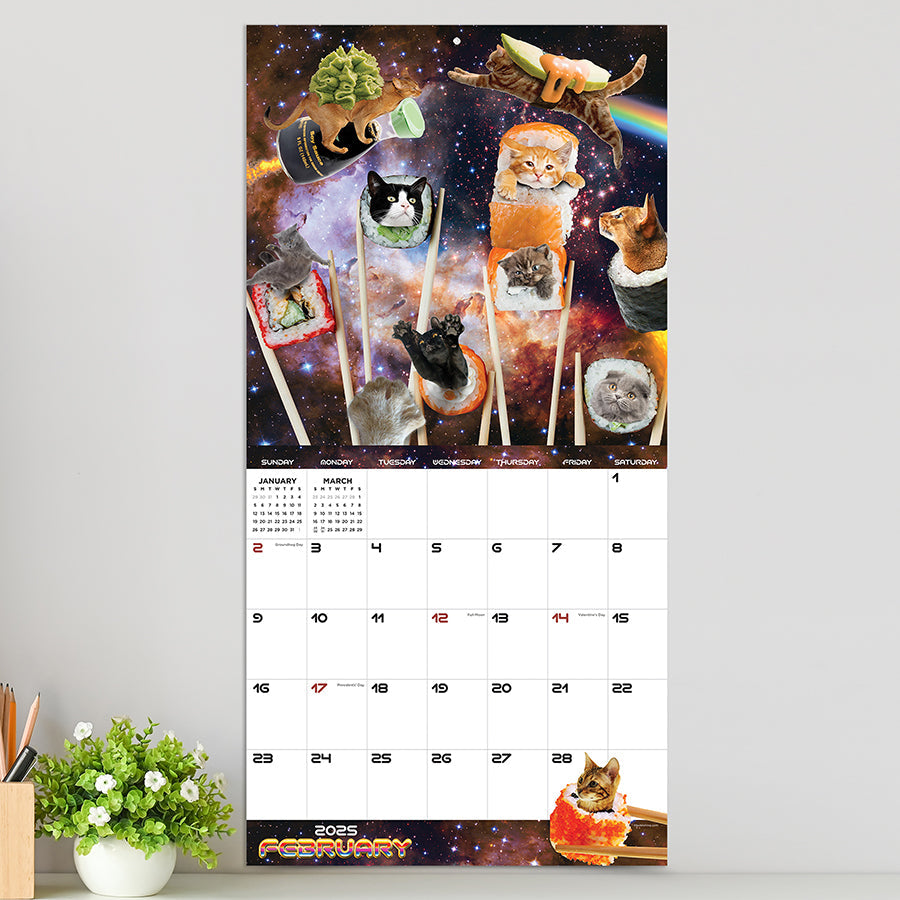 2025 Space Cats Wall Calendar