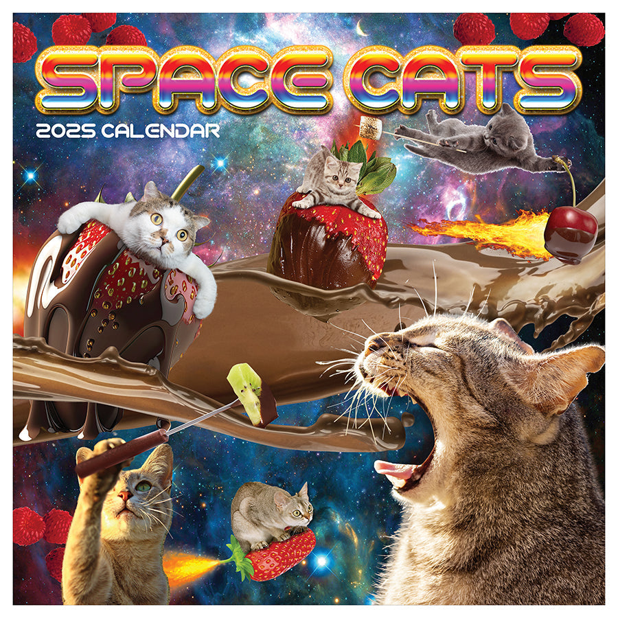 2025 Space Cats Wall Calendar