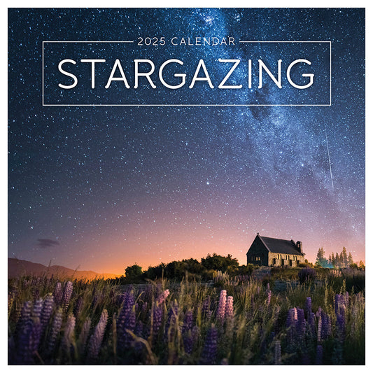 2025 Stargazing Wall Calendar