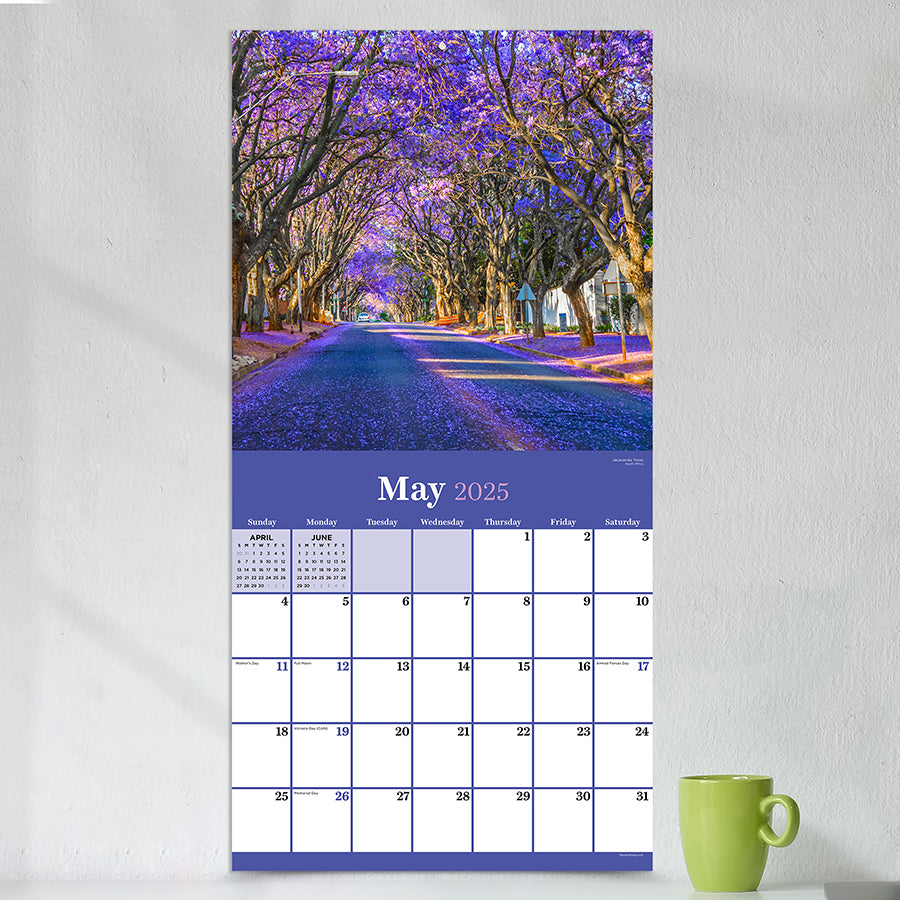 2025 Trees Wall Calendar