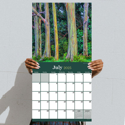 2025 Trees Wall Calendar