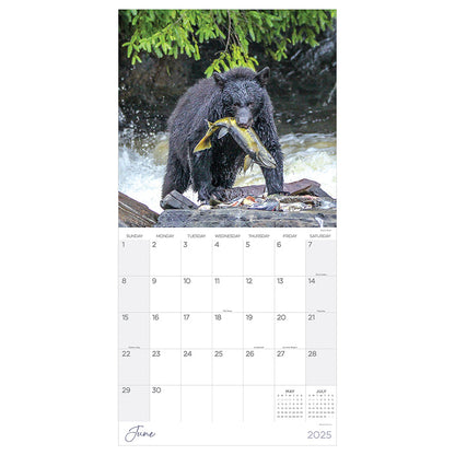 2025 Wild Wall Calendar