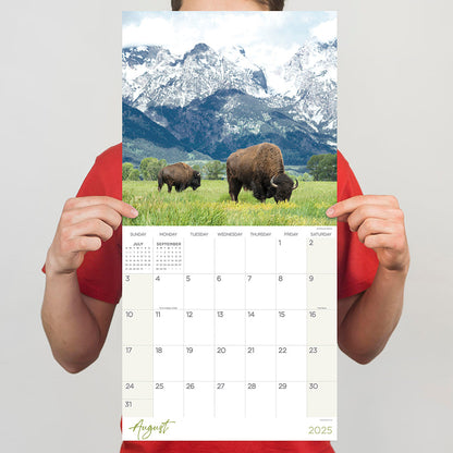 2025 Wild Wall Calendar