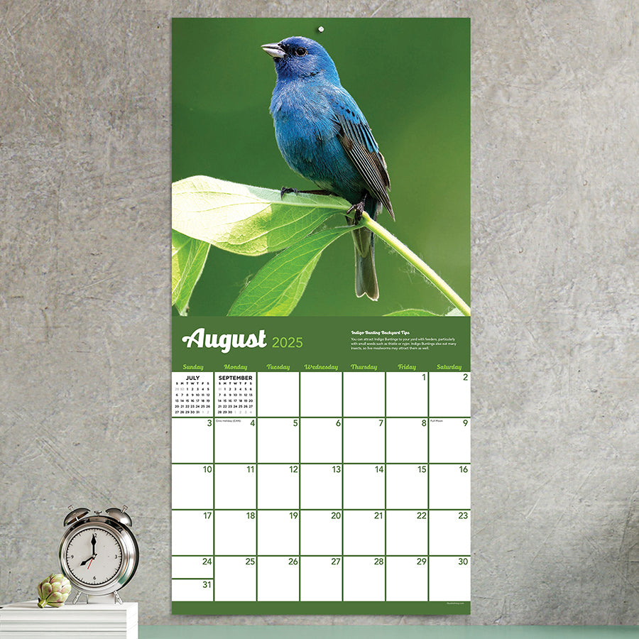 2025 Backyard Birds Wall Calendar