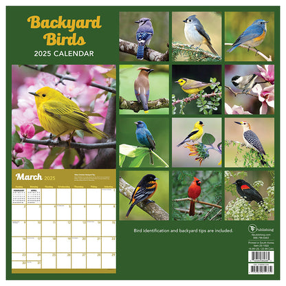 2025 Backyard Birds Wall Calendar