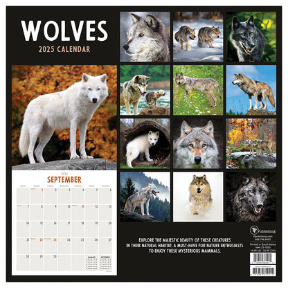 2025 Wolves Wall Calendar