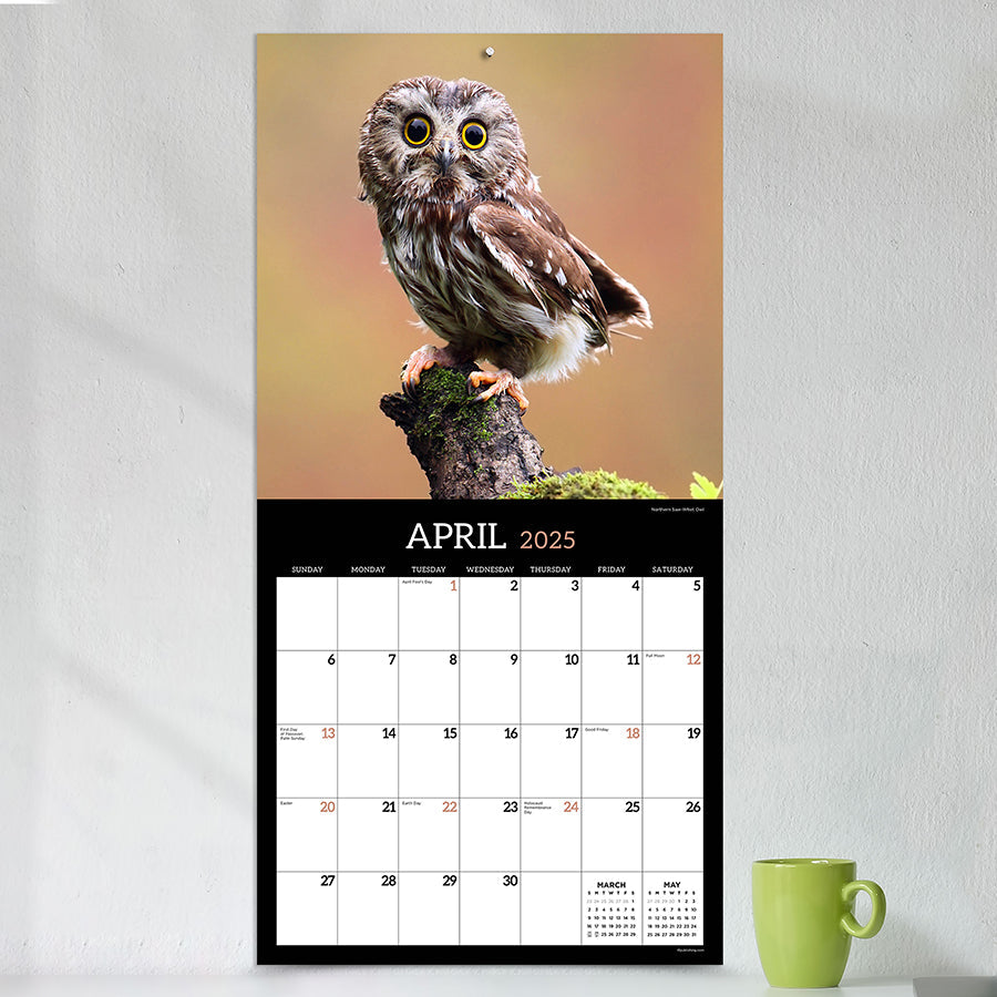 2025 Owls Wall Calendar