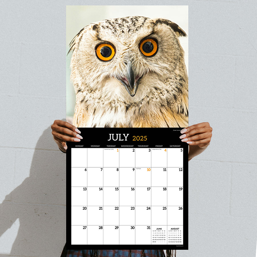 2025 Owls Wall Calendar