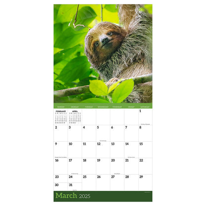 2025 Sloths Wall Calendar