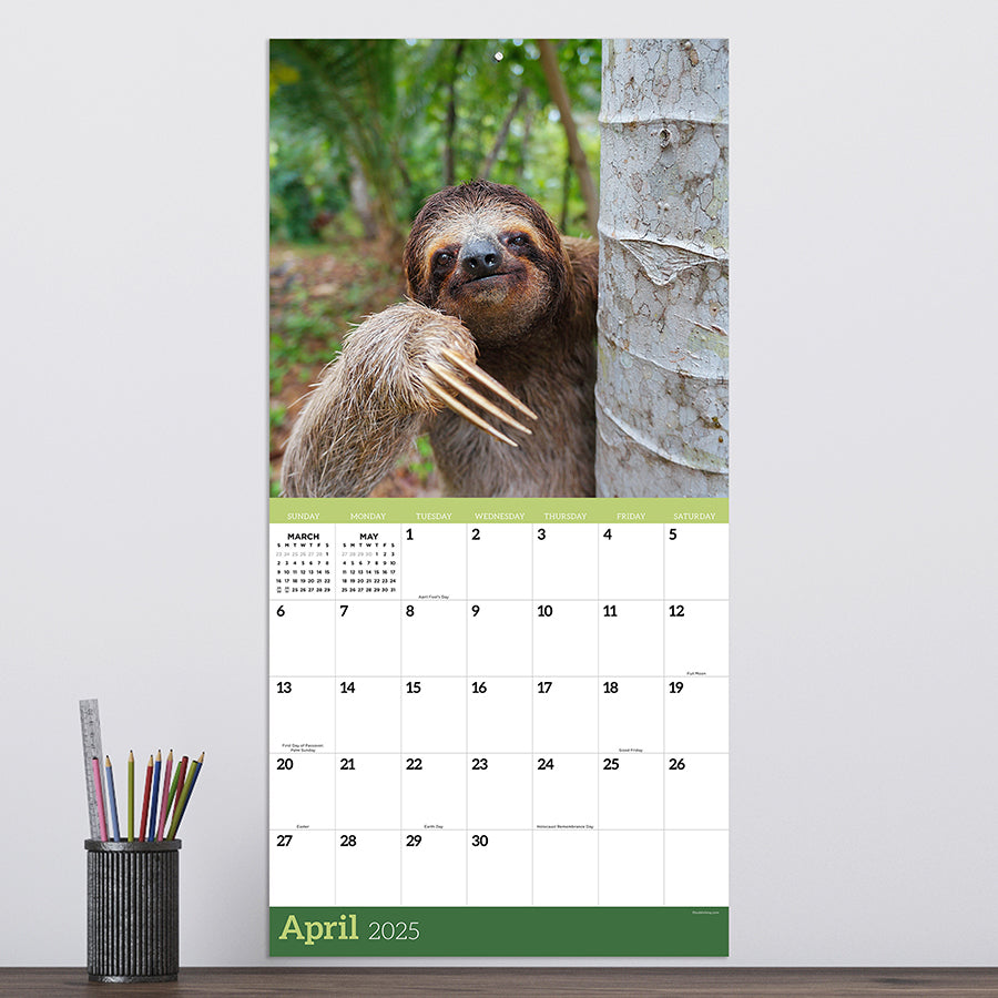 2025 Sloths Wall Calendar