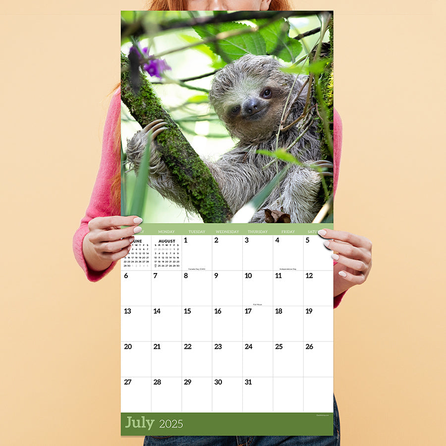 2025 Sloths Wall Calendar