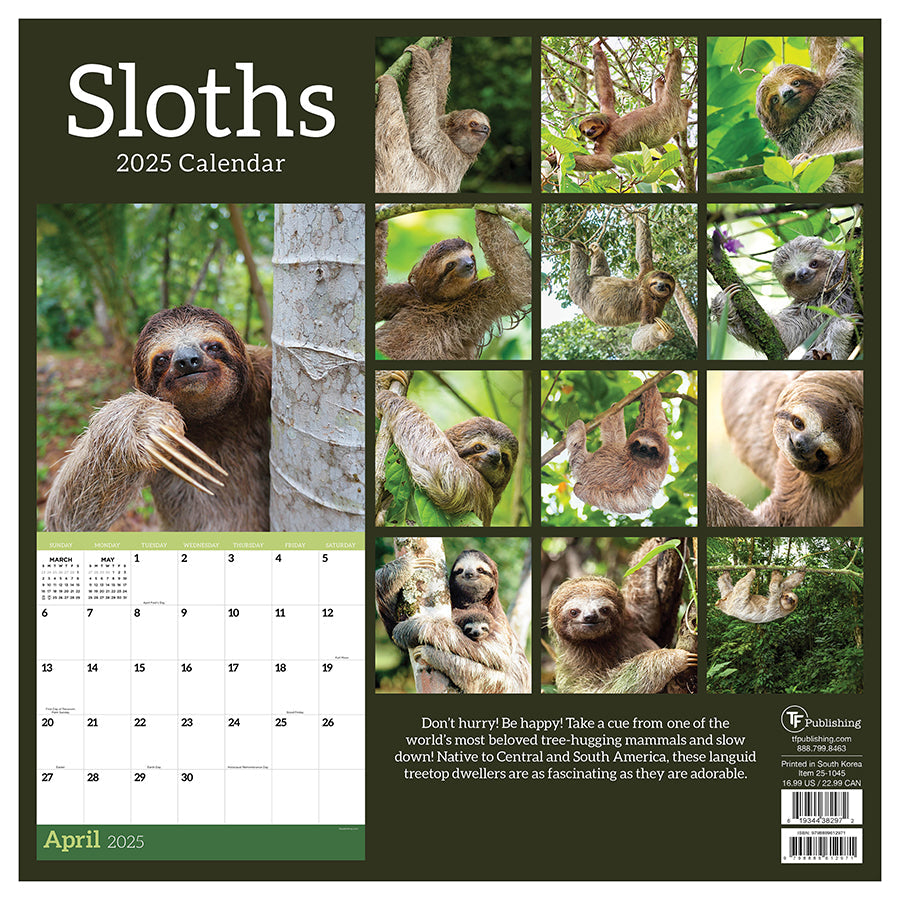 2025 Sloths Wall Calendar