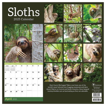 2025 Sloths Wall Calendar