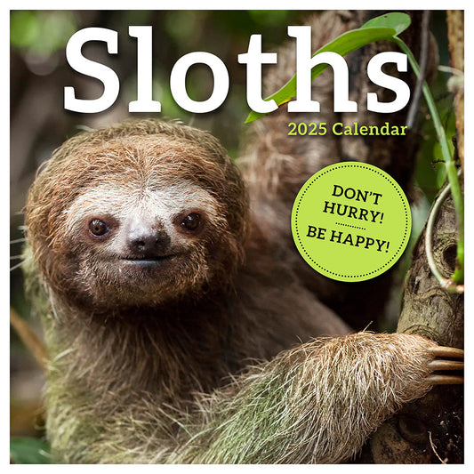 2025 Sloths Wall Calendar