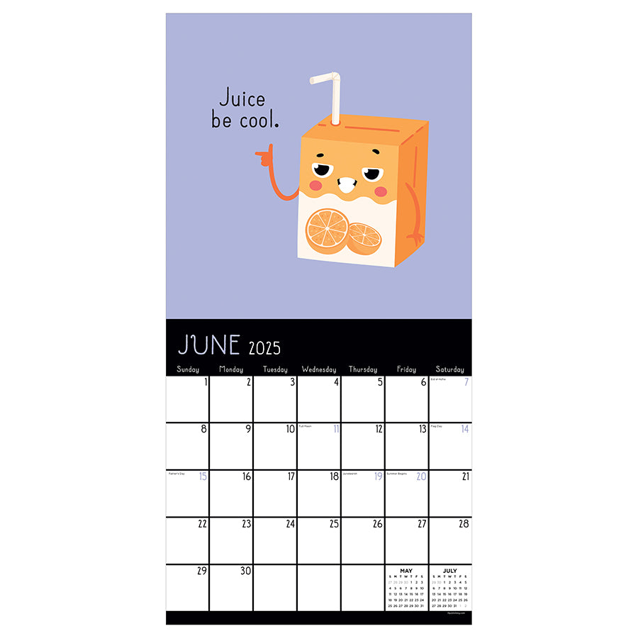 2025 Puns of Fun Wall Calendar