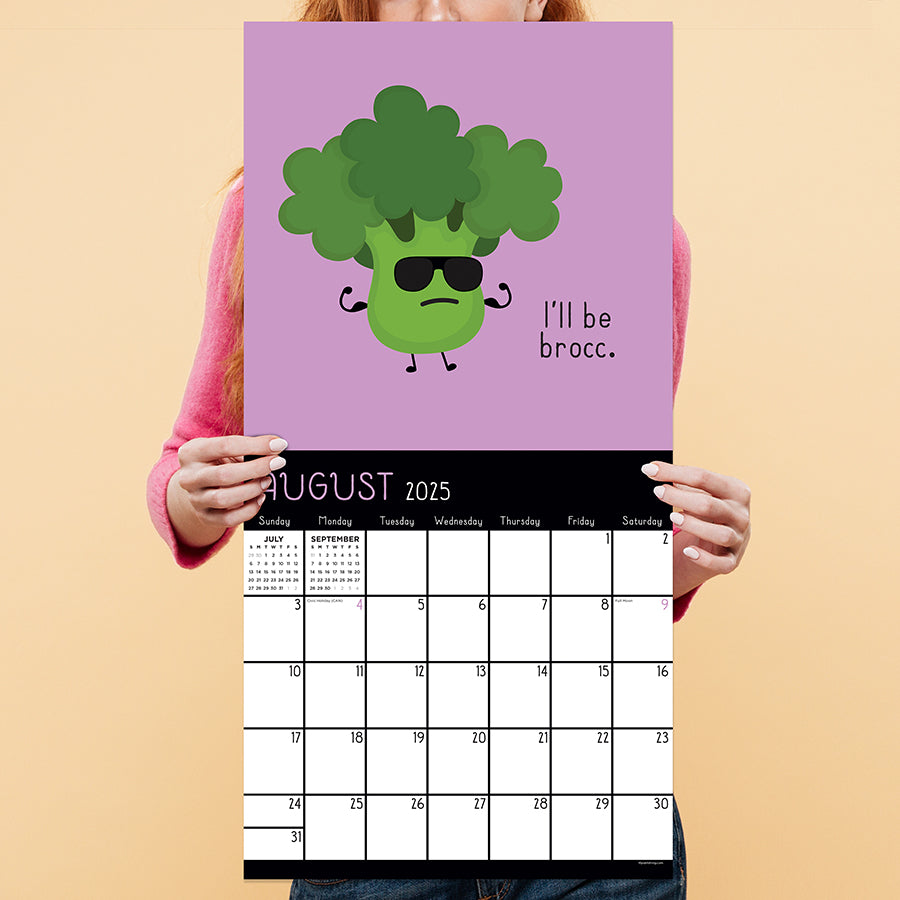 2025 Puns of Fun Wall Calendar