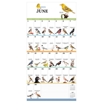 2025 Birds: Backyard and Beyond Wall Calendar